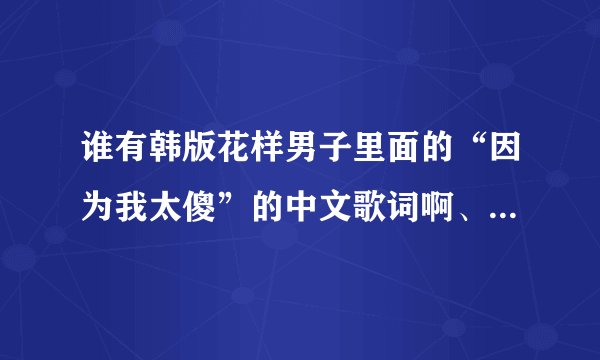 谁有韩版花样男子里面的“因为我太傻”的中文歌词啊、有的话发过来。