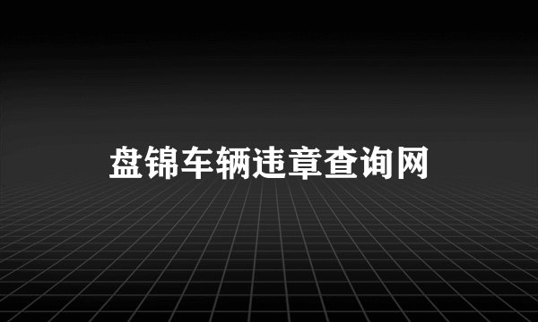 盘锦车辆违章查询网