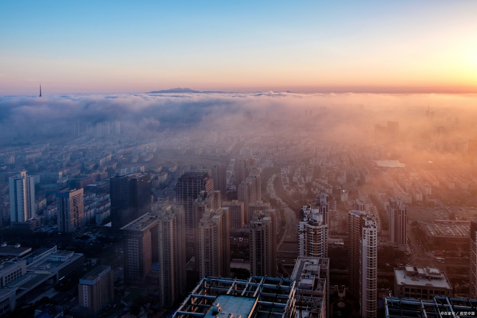 阳谷县人民政府官网