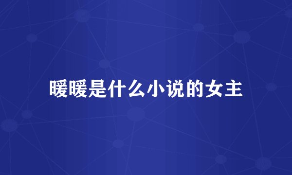 暖暖是什么小说的女主