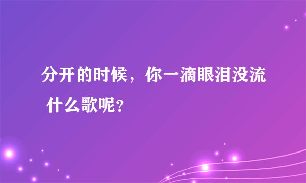 分开的时候，你一滴眼泪没流 什么歌呢？