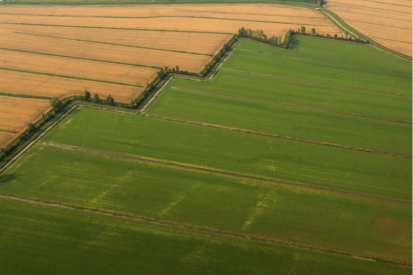 公顷的单位换算是什么？