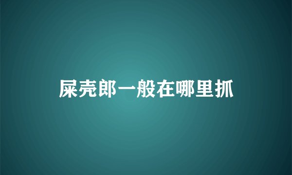 屎壳郎一般在哪里抓