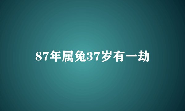87年属兔37岁有一劫