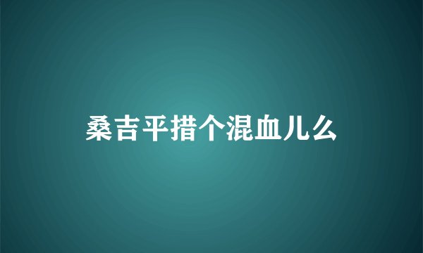 桑吉平措个混血儿么