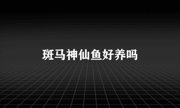 斑马神仙鱼好养吗