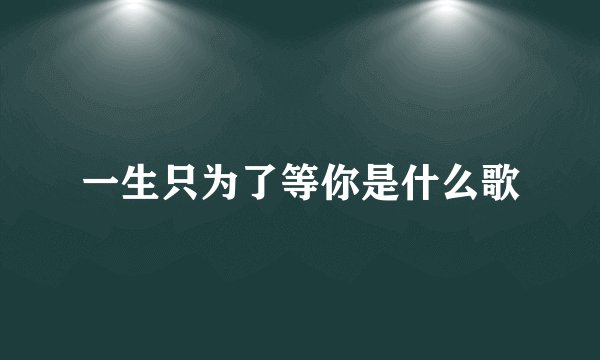 一生只为了等你是什么歌