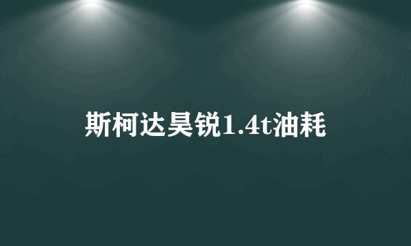 斯柯达昊锐1.4t油耗
