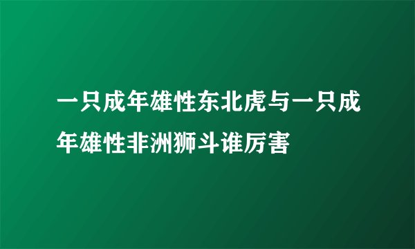 一只成年雄性东北虎与一只成年雄性非洲狮斗谁厉害