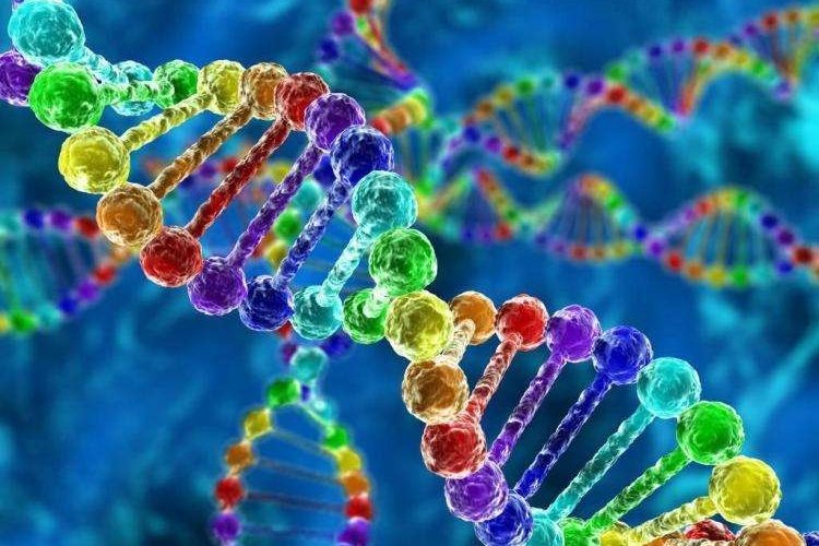 人类以后是否还会再进化？