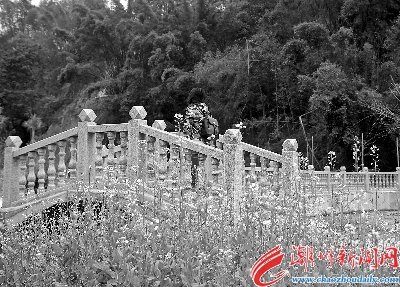 湖北省鄂西生态文化旅游圈投资有限公司的战略规划