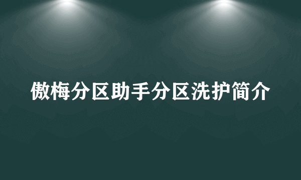 傲梅分区助手分区洗护简介