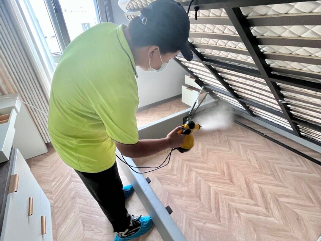 除甲醛公司有用吗？