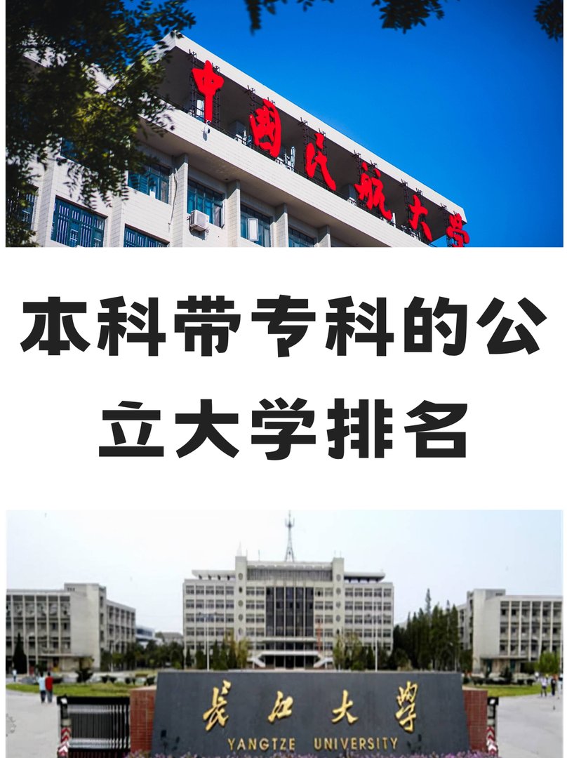 本科带专科的公立大学排名