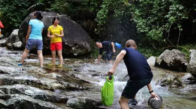 女子假期在河南登山失足坠崖身亡，事发时的具体细节是怎样的？
