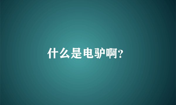 什么是电驴啊？