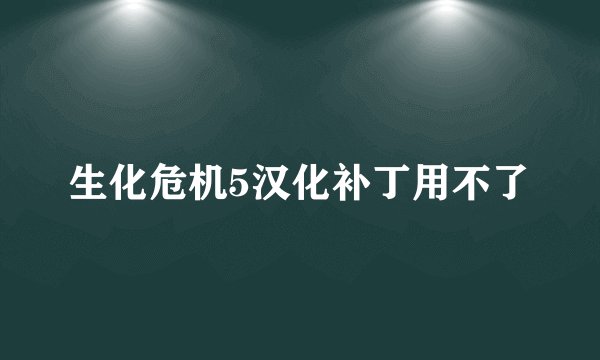 生化危机5汉化补丁用不了