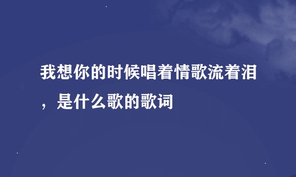 我想你的时候唱着情歌流着泪，是什么歌的歌词