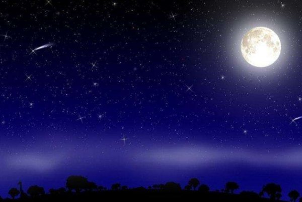 弯弯的月儿像小小的船.圆圆的月儿像什么·