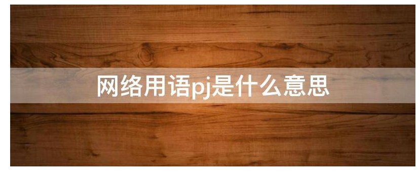 网络用语pj是什么意思