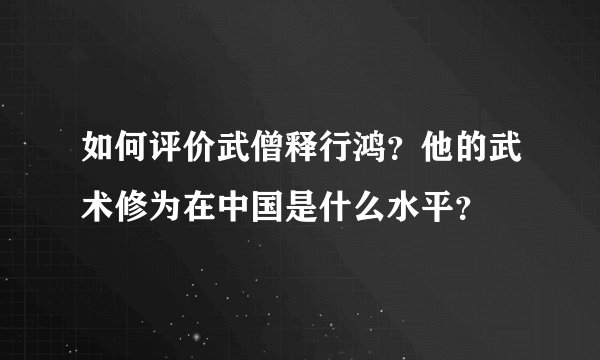 如何评价武僧释行鸿？他的武术修为在中国是什么水平？