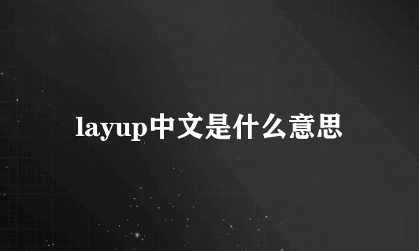 layup中文是什么意思