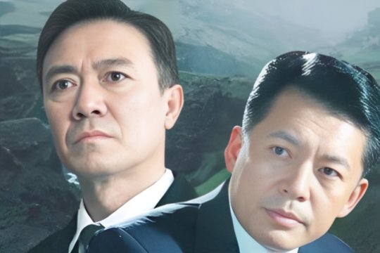 胡玫导演的作品有哪些