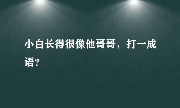 小白长得很像他哥哥，打一成语？