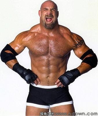 wwe高柏,曾经的荣誉！