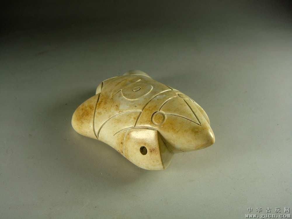 白蛙的白蛙来源