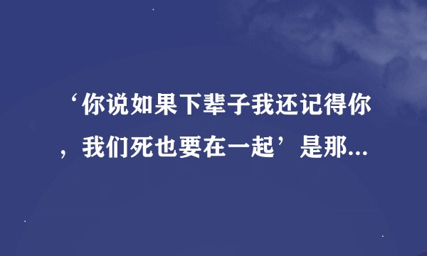 ‘你说如果下辈子我还记得你，我们死也要在一起’是那首歌里的歌词？
