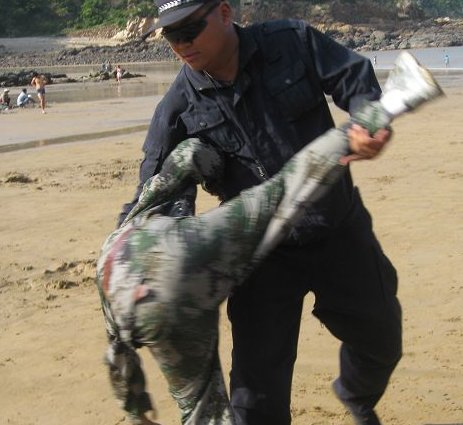 CQC与CQB有何异同点？