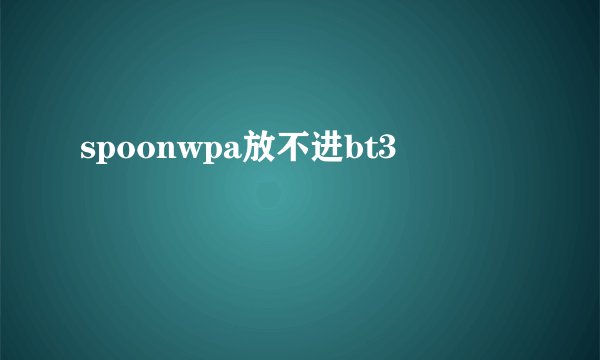 spoonwpa放不进bt3