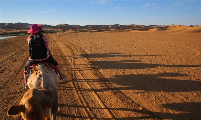 美国海军上将组织的地心探险队有什么惊人的发现？