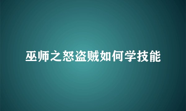 巫师之怒盗贼如何学技能