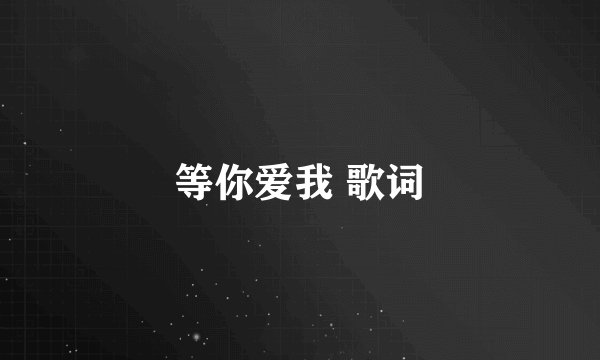 等你爱我 歌词