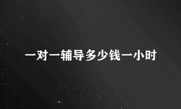 一对一辅导多少钱一小时