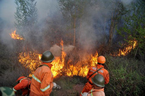 你是如何看有5人在凉山林区生火烧烤这件事的？