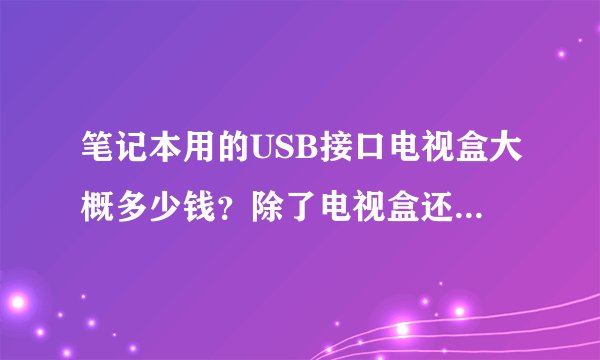 笔记本用的USB接口电视盒大概多少钱？除了电视盒还要其他费用吗？具体怎么用说明一下我加分，谢谢！