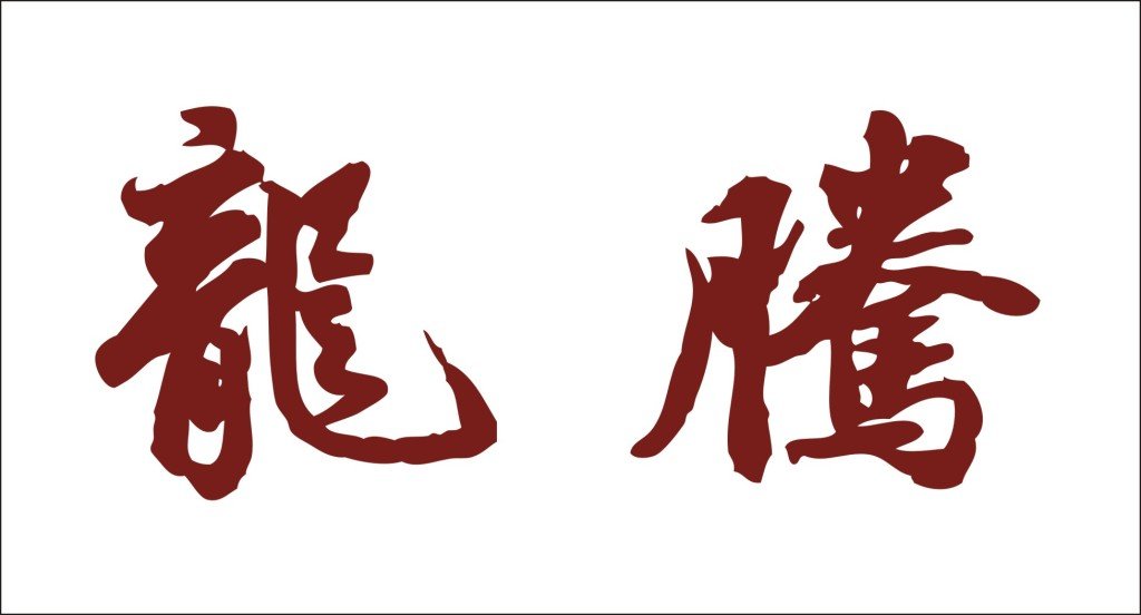 龙腾网的龙腾网结构