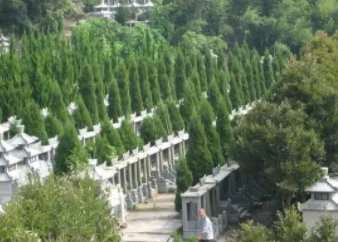 河北“最牛坟景房”常飘纸钱吓坏业主,官方是如何回应的?