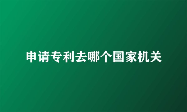 申请专利去哪个国家机关