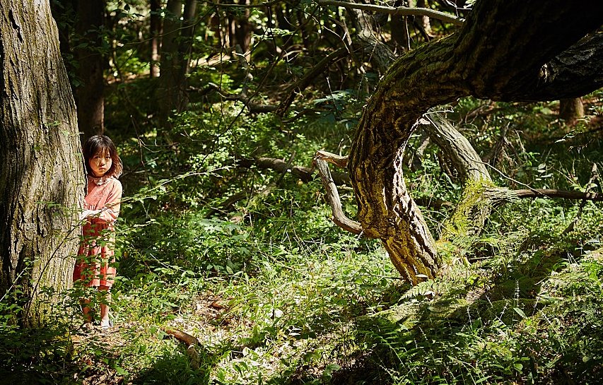 苌山虎是什么？