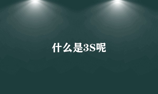什么是3S呢