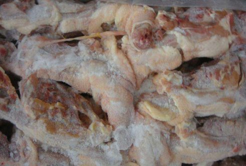 广东最大的冷冻批发市场在哪里？