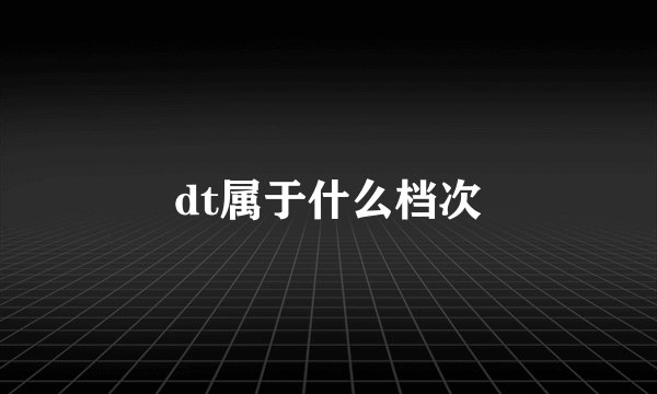 dt属于什么档次
