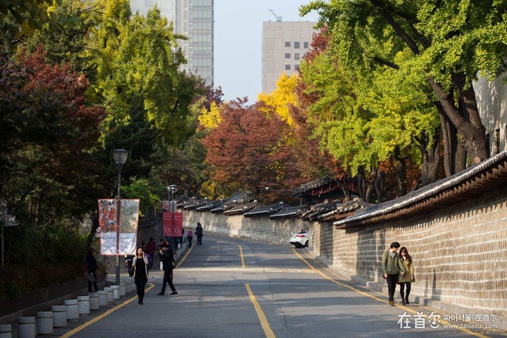 德寿宫石墙路的春天的歌曲歌词