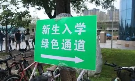 学生如何办理缓交学费？