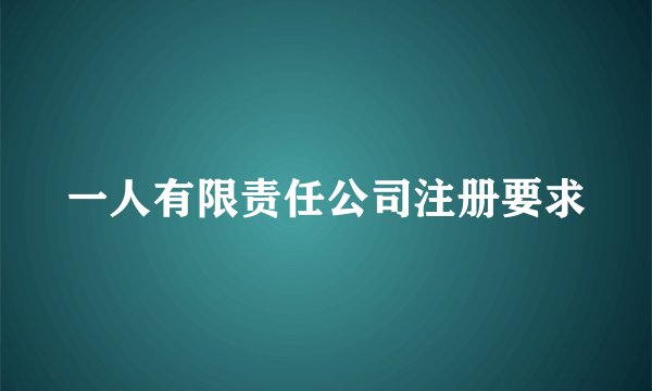 一人有限责任公司注册要求