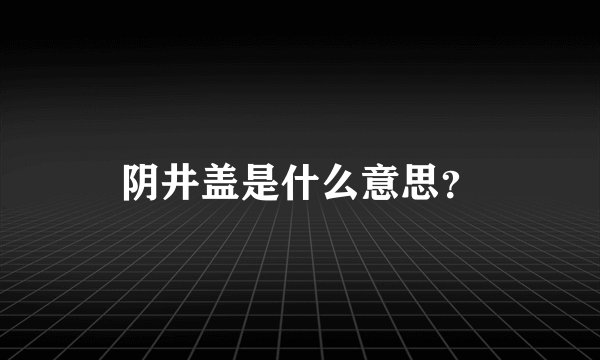 阴井盖是什么意思？
